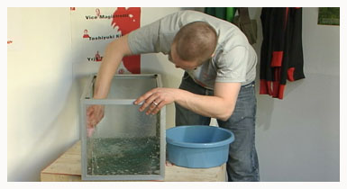 akvaarion pesu (copyright YLE/videokuvaa)